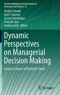 Dynamic Perspectives on Managerial Decision Making (inbunden)
