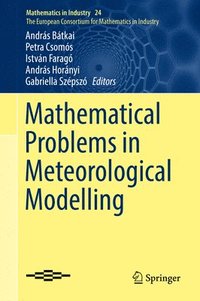 Mathematical Problems in Meteorological Modelling (inbunden)