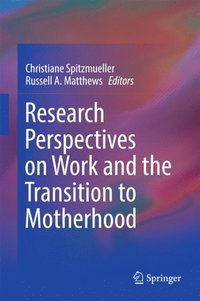 Research Perspectives on Work and the Transition to Motherhood (e-bok)