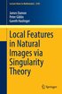 Local Features in Natural Images via Singularity Theory