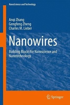 Nanowires (inbunden)