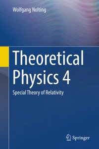 Theoretical Physics 4 (e-bok)