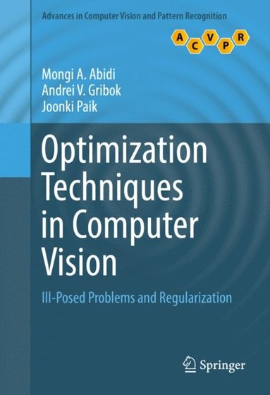Optimization Techniques in Computer Vision (e-bok)
