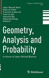 Geometry, Analysis and Probability (inbunden)