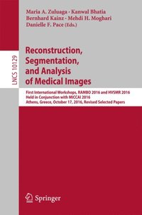 Reconstruction, Segmentation, and Analysis of Medical Images (e-bok)