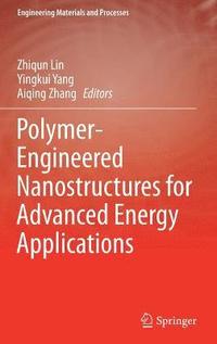 Polymer-Engineered Nanostructures for Advanced Energy Applications (inbunden)