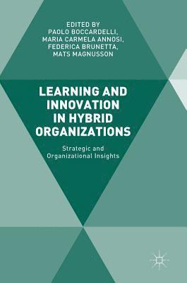 Learning and Innovation in Hybrid Organizations (inbunden)