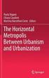 Horizontal Metropolis Between Urbanism and Urbanization
