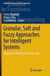 Granular, Soft and Fuzzy Approaches for Intelligent Systems (hftad)