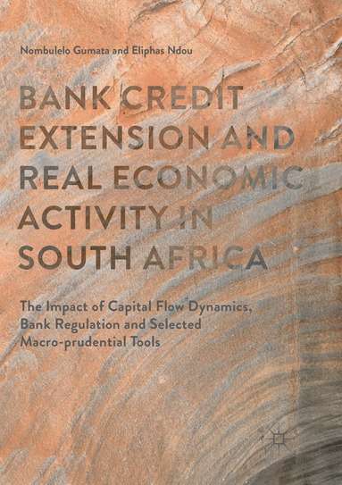 Bank Credit Extension and Real Economic Activity in South Africa (inbunden)