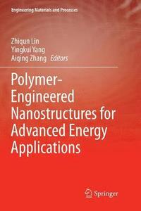 Polymer-Engineered Nanostructures for Advanced Energy Applications (häftad)