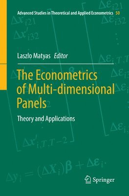The Econometrics of Multi-dimensional Panels (hftad)