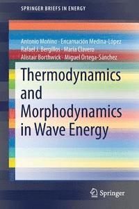 Thermodynamics and Morphodynamics in Wave Energy (häftad)