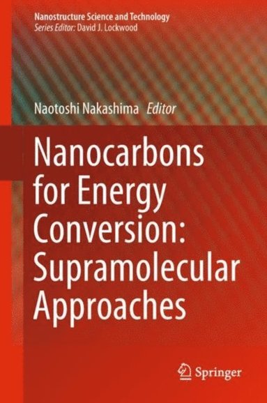 Nanocarbons for Energy Conversion: Supramolecular Approaches (e-bok)