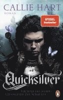 Quicksilver - Tochter des Silbers. Gefangener der Schatten (h�ftad)