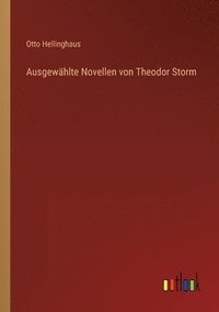 Ausgewahlte Novellen von Theodor Storm (häftad)