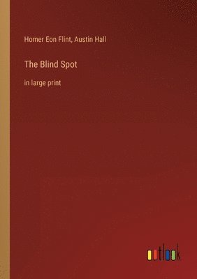 Blind Spot (häftad)