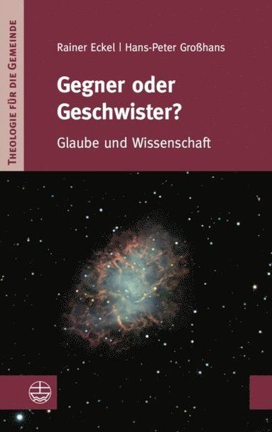Gegner oder Geschwister? (inbunden)