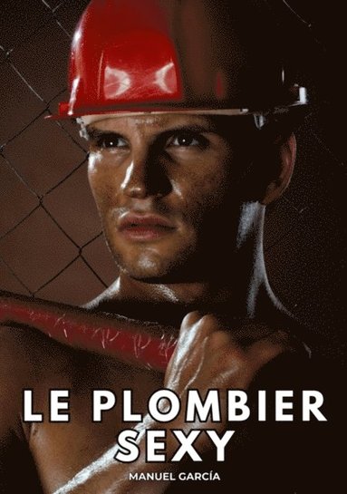 Le Plombier Sexy (häftad)