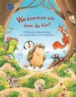 Wo kommen wir denn da hin? 3 Bilderbuchgeschichten mit Labyrinthen und Suchbildern (inbunden)