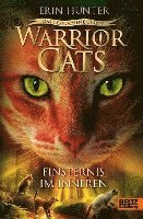 Warrior Cats - Das gebrochene Gesetz. Finsternis im Inneren (inbunden)