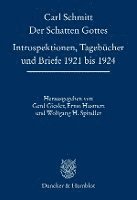 Der Schatten Gottes: Introspektionen, Tagebucher Und Briefe 1921 Bis 1924 (inbunden)