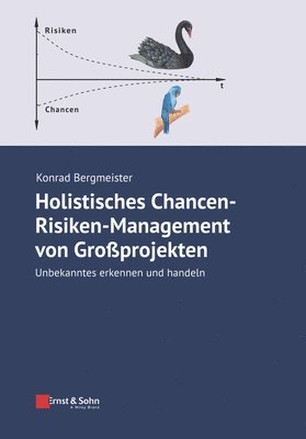 Holistisches Chancen-Risiken-Management von Grossprojekten (inbunden)