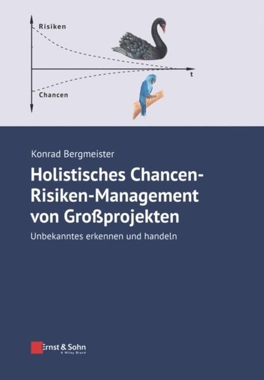 Holistisches Chancen-Risiken-Management von Grossprojekten (inbunden)