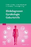 Blickdiagnosen Gyn?kologie/ Geburtshilfe (h�ftad)