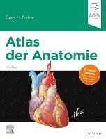 Atlas der Anatomie (inbunden)
