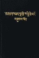 Bibel Tibetanisch (häftad)