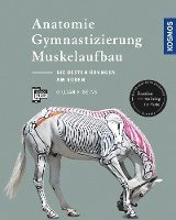 Anatomie, Gymnastizierung, Muskelaufbau (inbunden)
