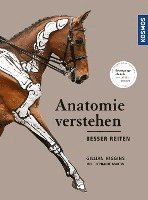 Anatomie verstehen - besser reiten (inbunden)