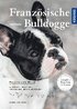 Franzsische Bulldogge