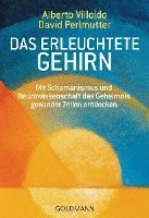 Das erleuchtete Gehirn (inbunden)