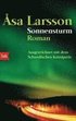 Sonnensturm