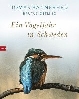 Ein Vogeljahr in Schweden (inbunden)