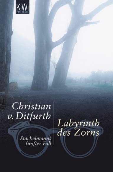 Labyrinth des Zorns (inbunden)