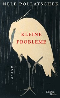 Kleine Probleme - Nele Pollatschek - Ebok (9783462303186)