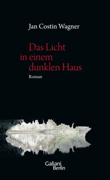 Das Licht in einem dunklen Haus (inbunden)