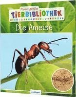 Meine groe Tierbibliothek: Die Ameise (inbunden)