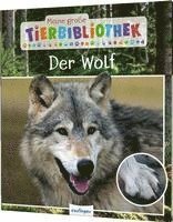 Meine groe Tierbibliothek: Der Wolf (inbunden)