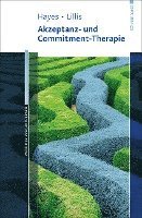 Akzeptanz- und Commitment-Therapie (hftad)