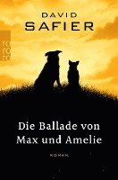 Die Ballade von Max und Amelie (häftad)