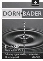Dorn / Bader Physik SII 2. Lsungen zum Arbeitsheft (inbunden)