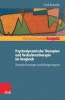 Psychodynamische Therapien Und Verhaltenstherapie Im Vergleich: Zentrale Konzepte Und Wirkprinzipien (hftad)
