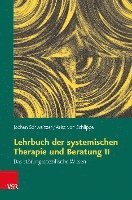 Lehrbuch der systemischen Therapie und Beratung II (häftad)