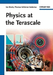Physics at the Terascale (inbunden)