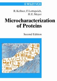 Microcharacterization of Proteins (e-bok)