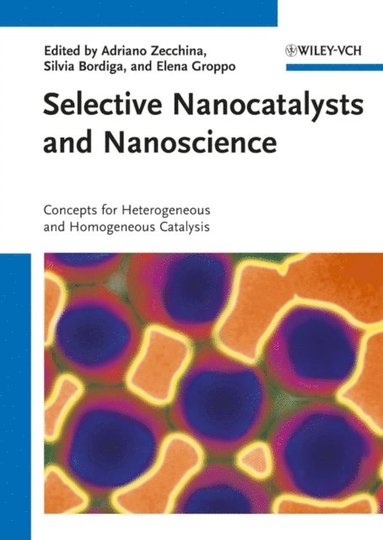 Selective Nanocatalysts and Nanoscience (e-bok)